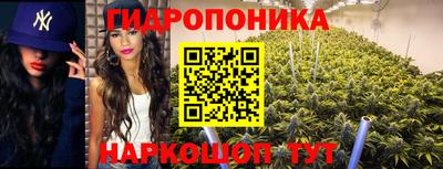 jwh Ирбит